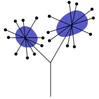 Institut für integrative Paartherapie (IFIP)