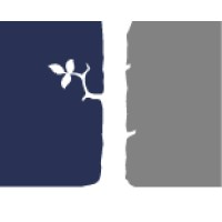 Baum & Partner PartG